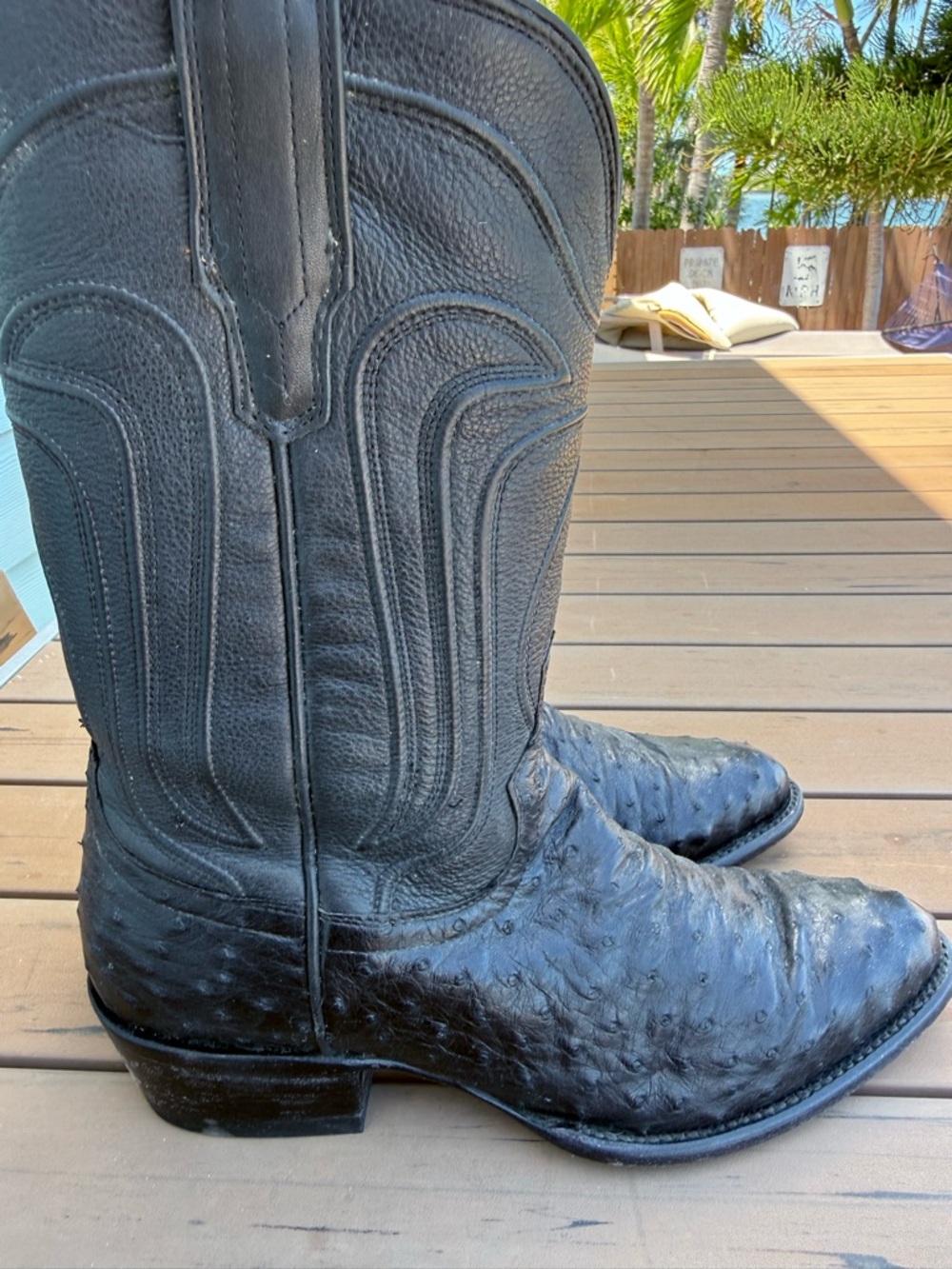 Tecovas "The Jessie" boots in Midnight (black) full-quill ostrich - Picture 4 of 6